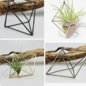 Set of Geometric Air Plant Holders - Set of 7 - NEW